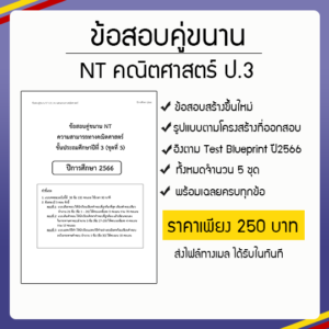 ป้ายสินค้าข้อสอบคู่ขนาน NT